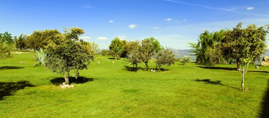 la propriété Berbe Alto